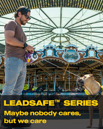 LEADSAFE