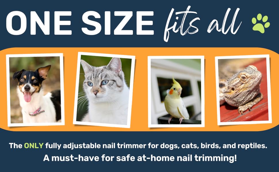 guinea pig nail trimmer lizard nail trimmer bunny nail trimmer dog nail trimmer