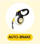 autobrake