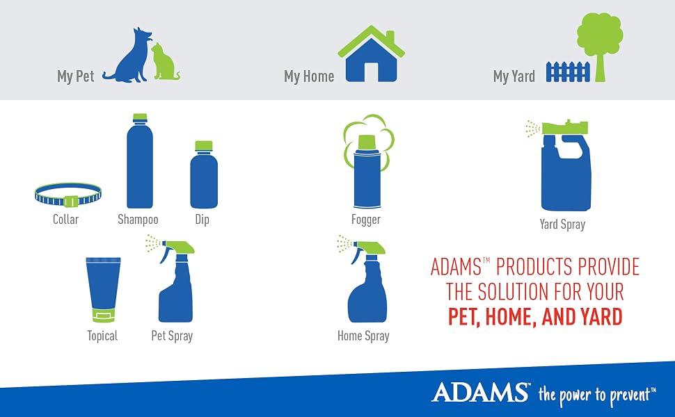 Product Family