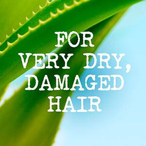 Maui Moisture Shea Butter hair mask