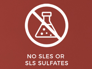 Daily Dose Clean Moisture Leave-in Uncompromised Performance all hair types- No SLES or SLS Sulfates