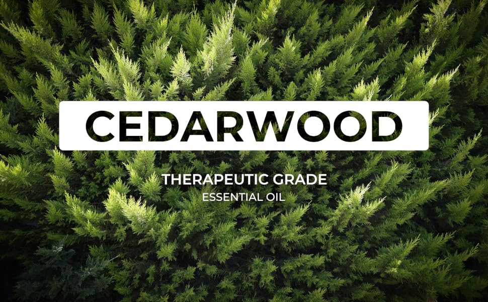 Cedarwood