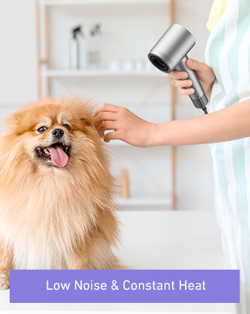 ionic hair dryer