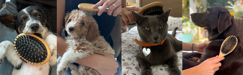 Elevate your pet grooming experience with Peluditos grooming tools