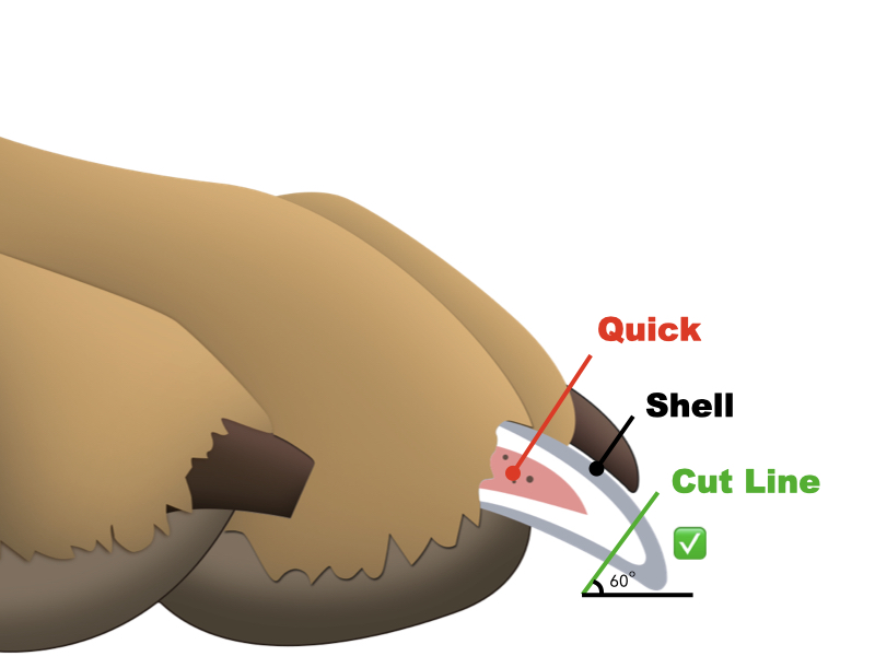 Trimming Tips