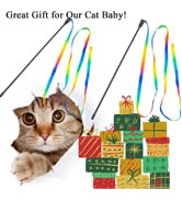 cat toy