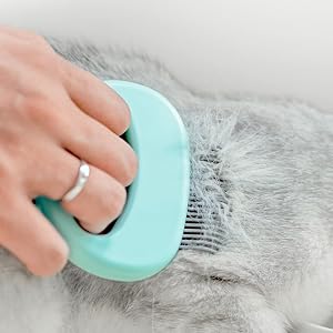 Close up picture of combing a grey cat