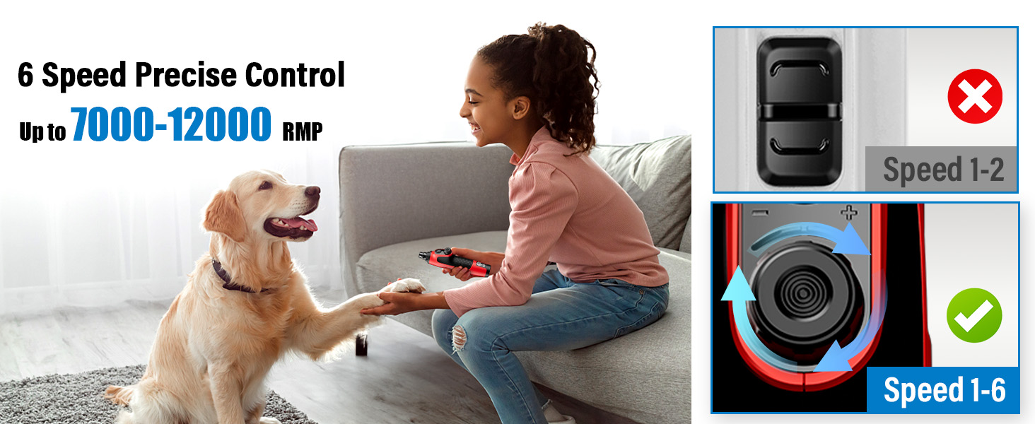 6 speed precise control