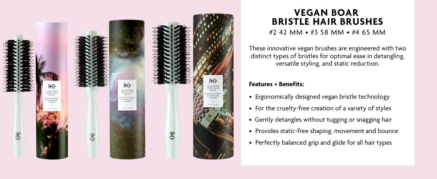 R+Co Vegan Boar Bristle Hair Brushes