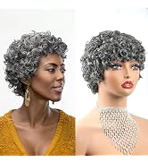 SisBroSis Short Pixie Cut Curly Human Hair Wig Salt and Pepper 34# Gray Mix White Color Afro Curl...