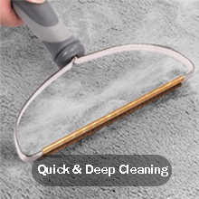 pet hair remover for cushion