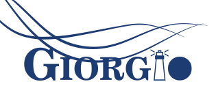 Giorgio Logo with Hairs