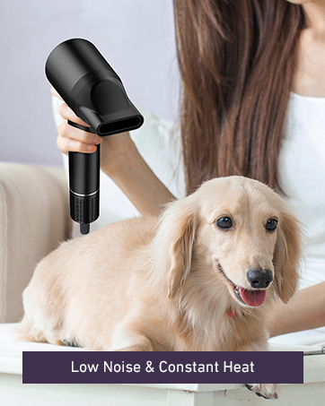 blow dryer with diffuser