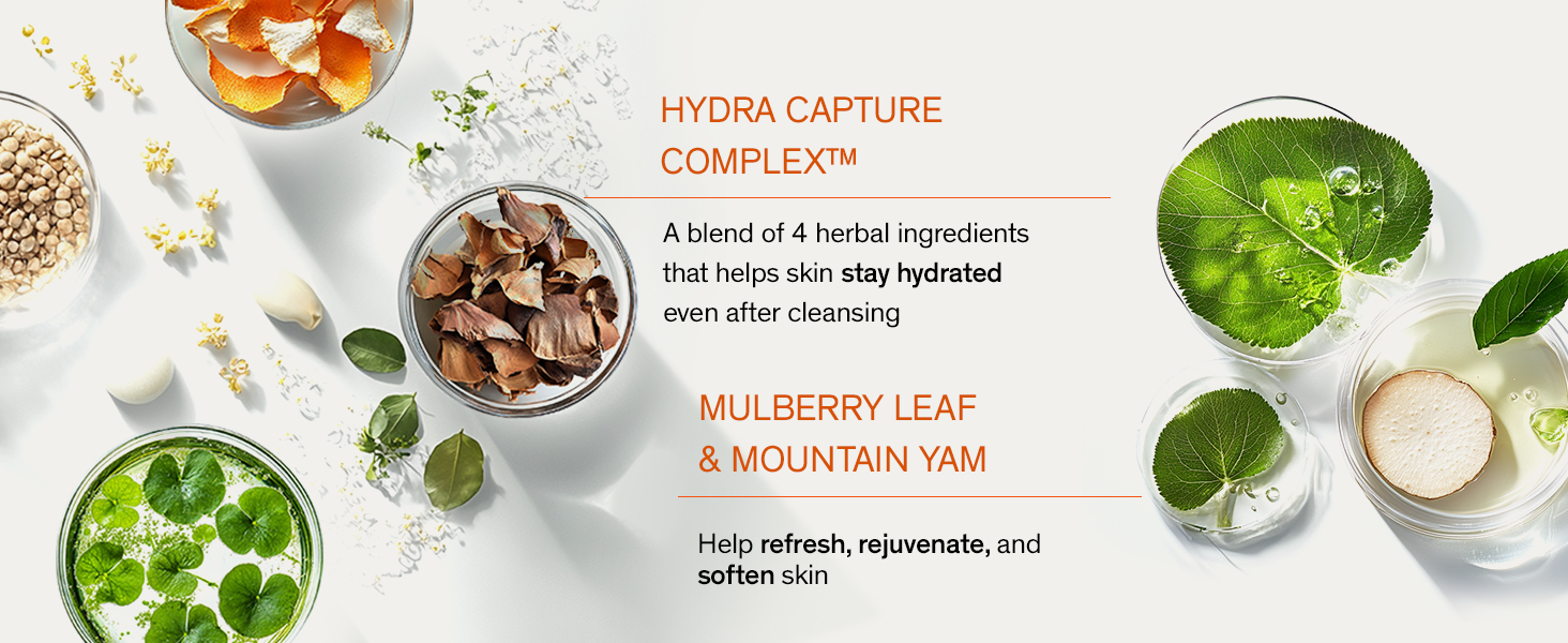 Cleansing Foam