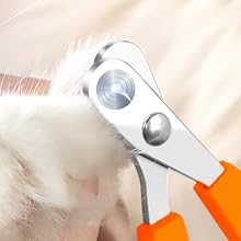 Cat Claw Care