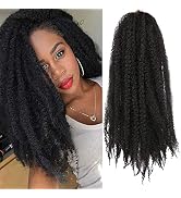 Outernice Marley Hair, 18 Inch Afro Kinky Curly Crochet Hair for Faux Locs, 3 Packs, #2