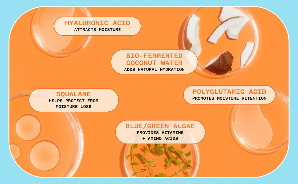 Ingredients: hyaluronic acid, coconut water, squalane, polyglutamic acid, blue/green algae