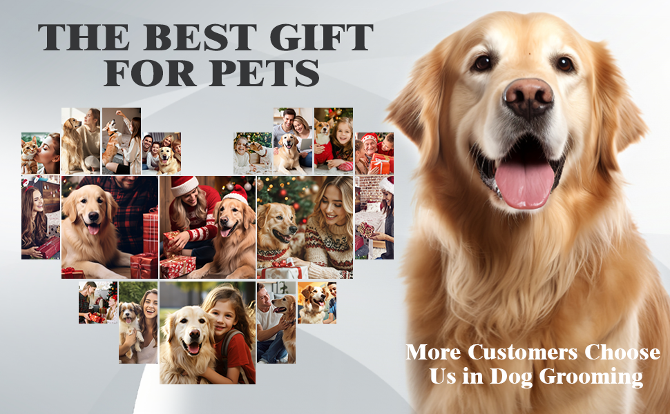 dog brush for short haired dogs