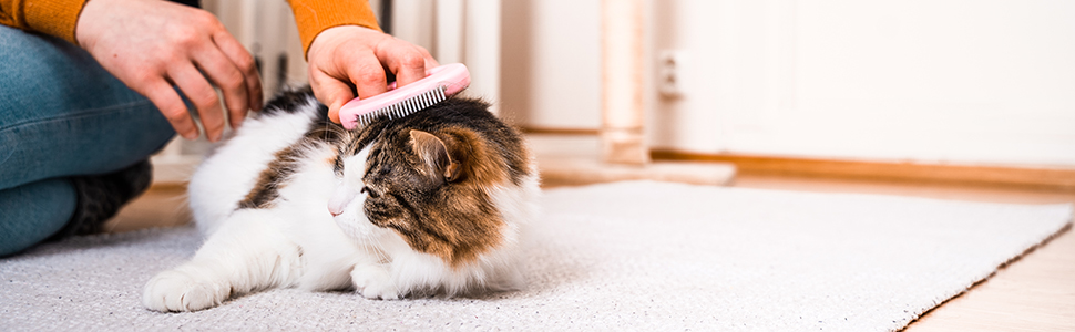 Leo's Paw cat comb being used on house cat