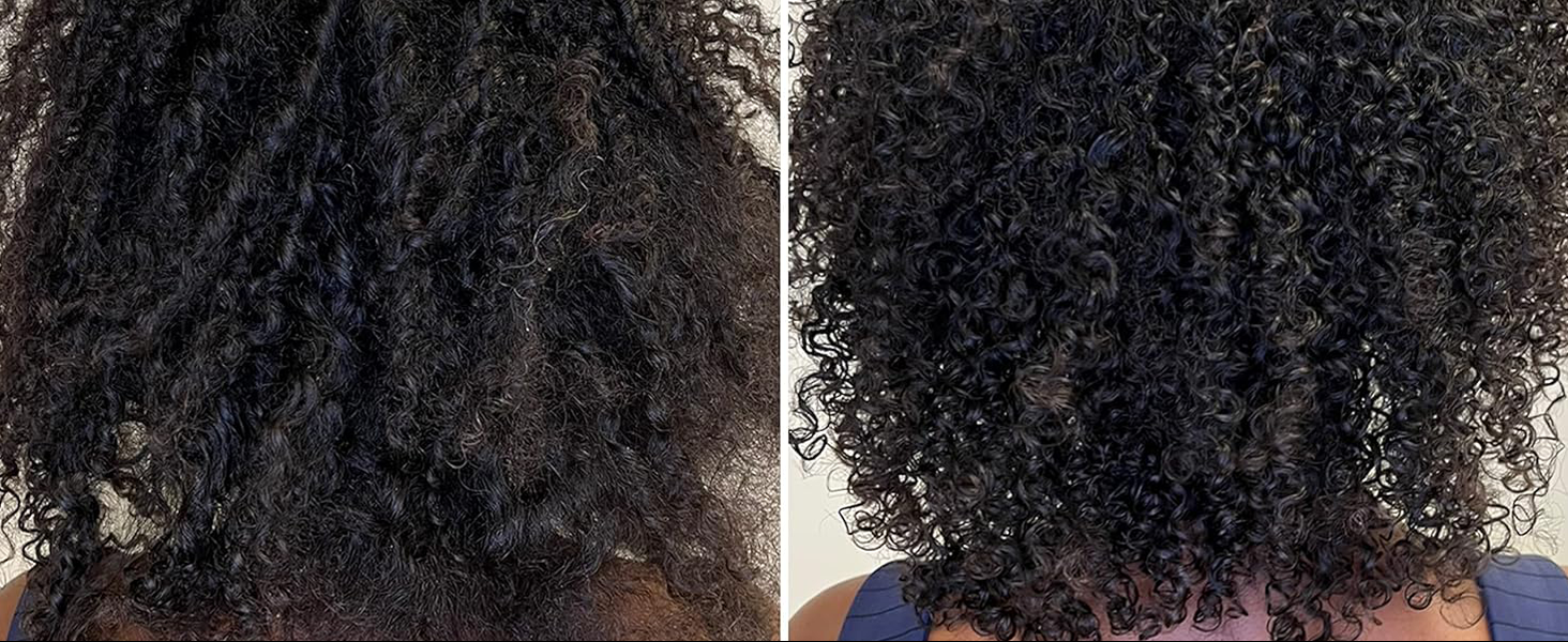 L'ANZA