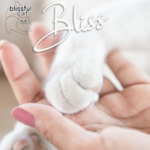 cat paw massage