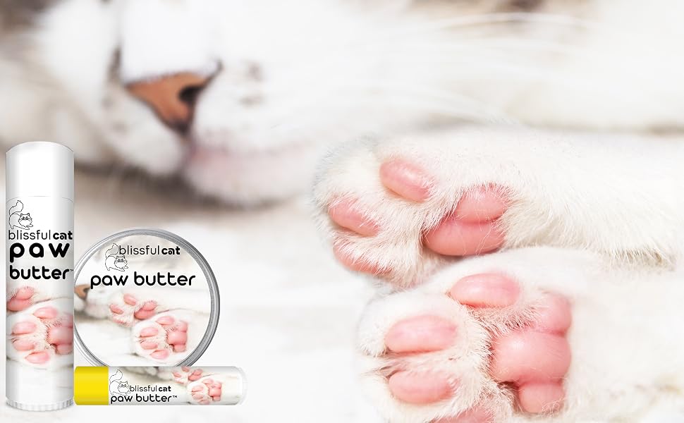 healthy cat paw butter