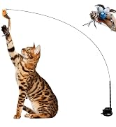 Leo's Paw - interactive bird simulation cat toy - realistic flying cat suction toy