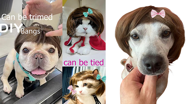 Trimmable Pet Cosplay Cat wig Decoration for Halloween
