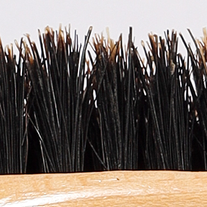 boar bristles