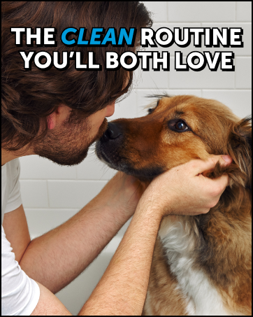 shampoo for smelly dogs