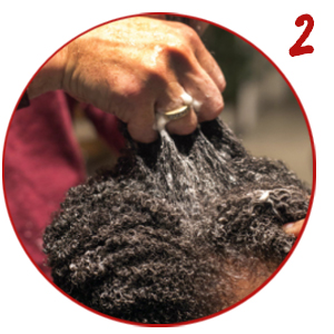 curl sponge