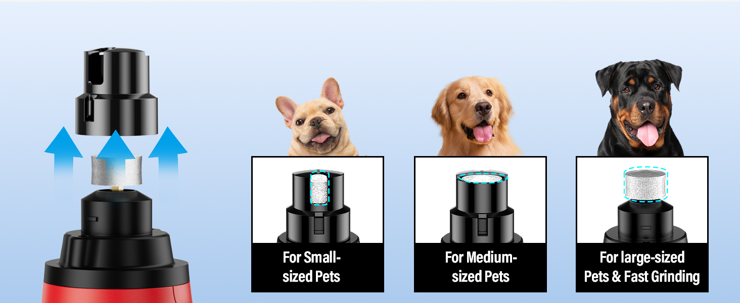 3 Port for all size of dogs