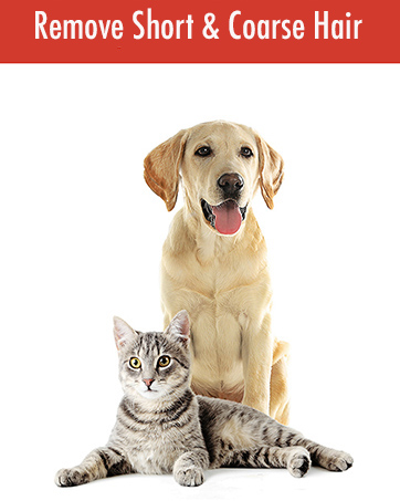 Lilly Brush Pet Hair Removers