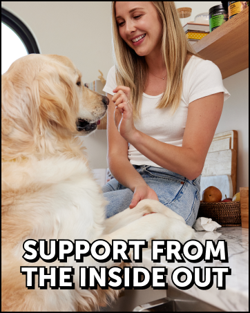 vitamins for dogs