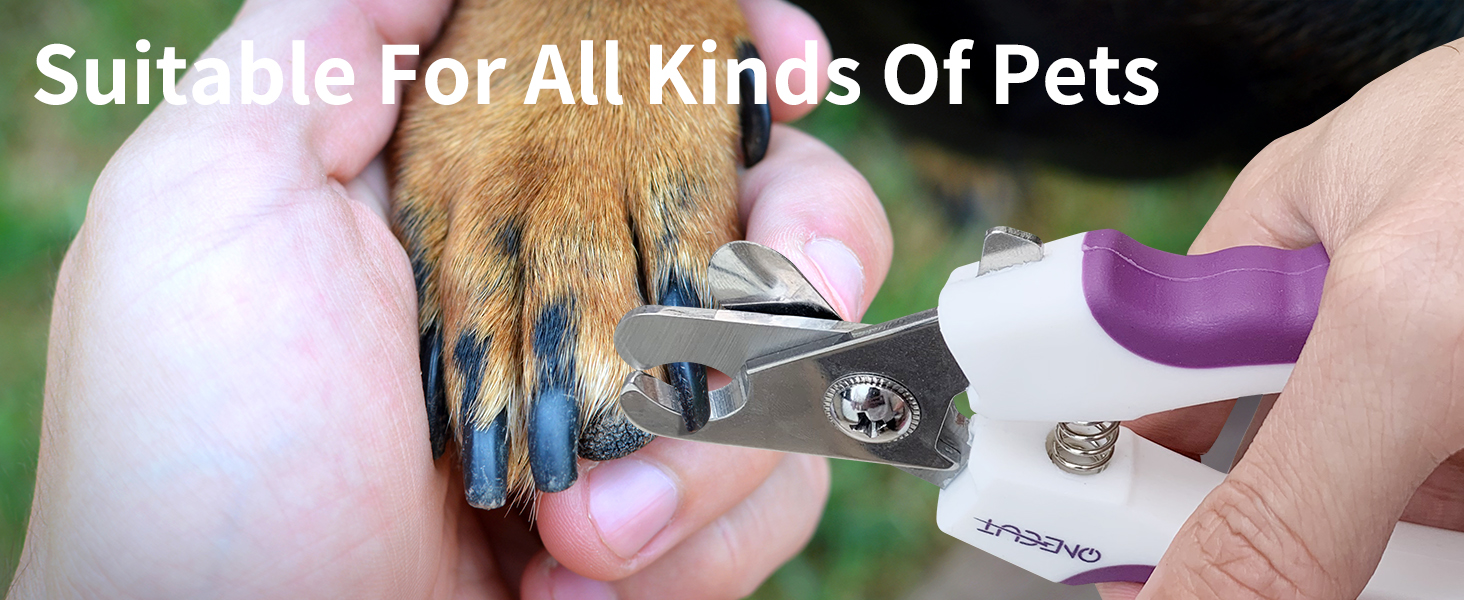 For All Small Pets