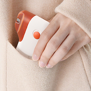 Portable