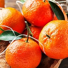 Italian Mandarin Orange