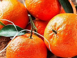 Bitter Orange