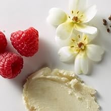  burts bees sweet violet;burts bees sweet violet lip balm;violet lip balm;natural lip balm;burt