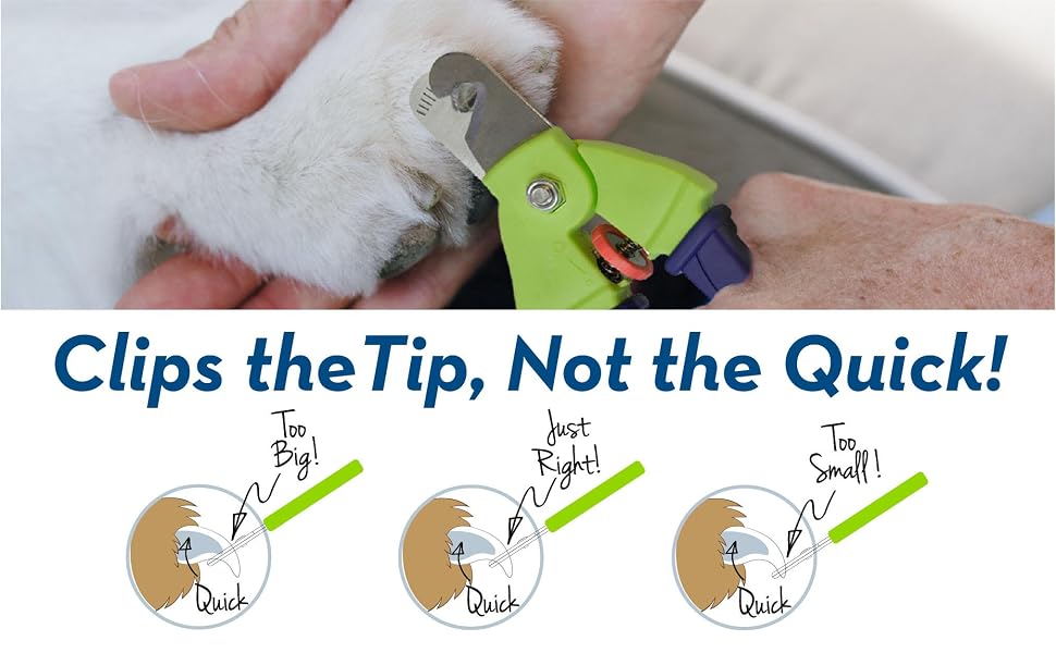 nail trimmer pet nail trim pet grooming accessories pet accessories 