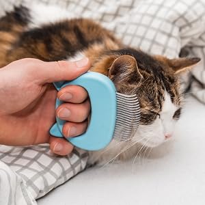 Cat enjoying grooming with Leo's Paw cat comb