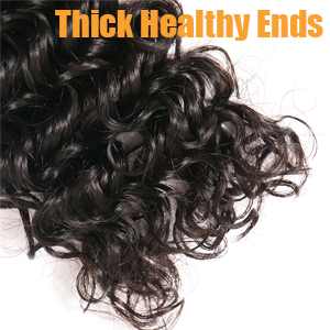 Human Hair Full and Thick End