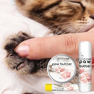 how to apply cat paw butter