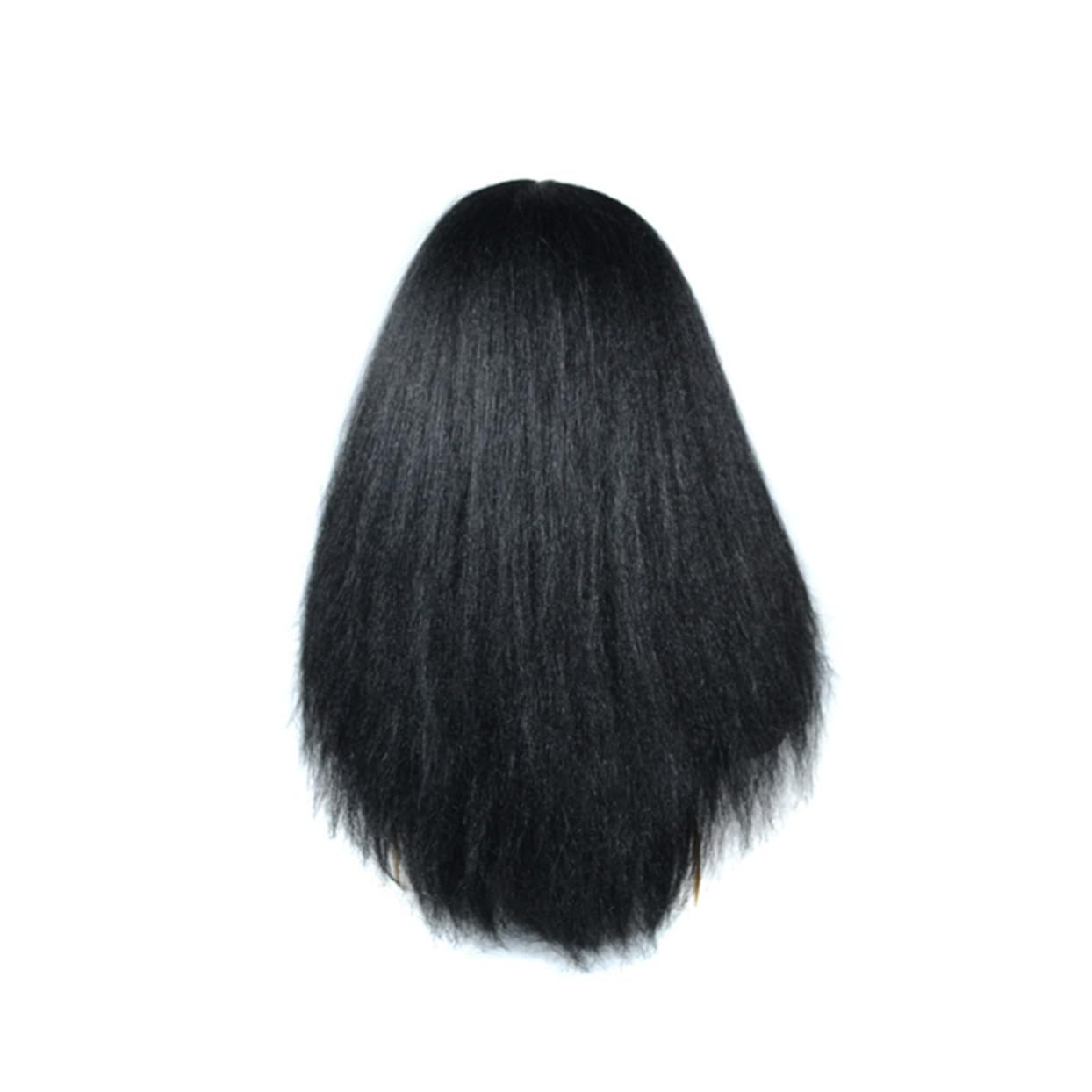 NOLITOY 1pc Curly Wig Bouffant Wig Beard Wigs for Women Hair Wigs Afro Wig Curly Closure Wig Human Hair European and American Wigs Curly Human Hair Wig Long Curly Hair