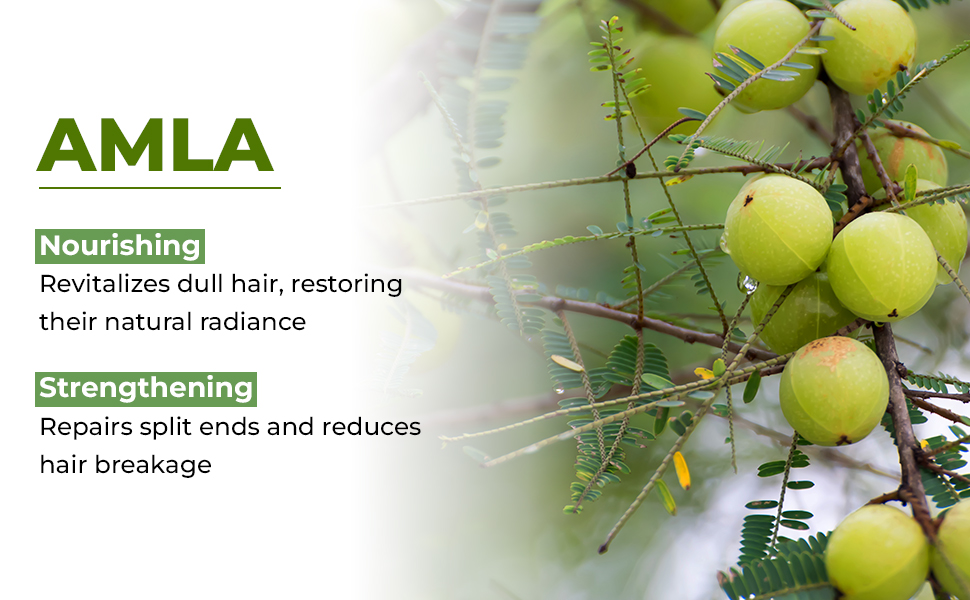Natural Amla extract – Herbal Formula for Strong, Shiny, and Thick Hair