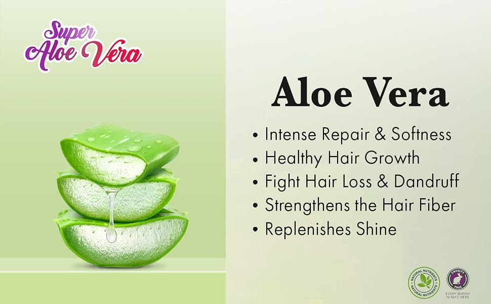 aloe vera 2