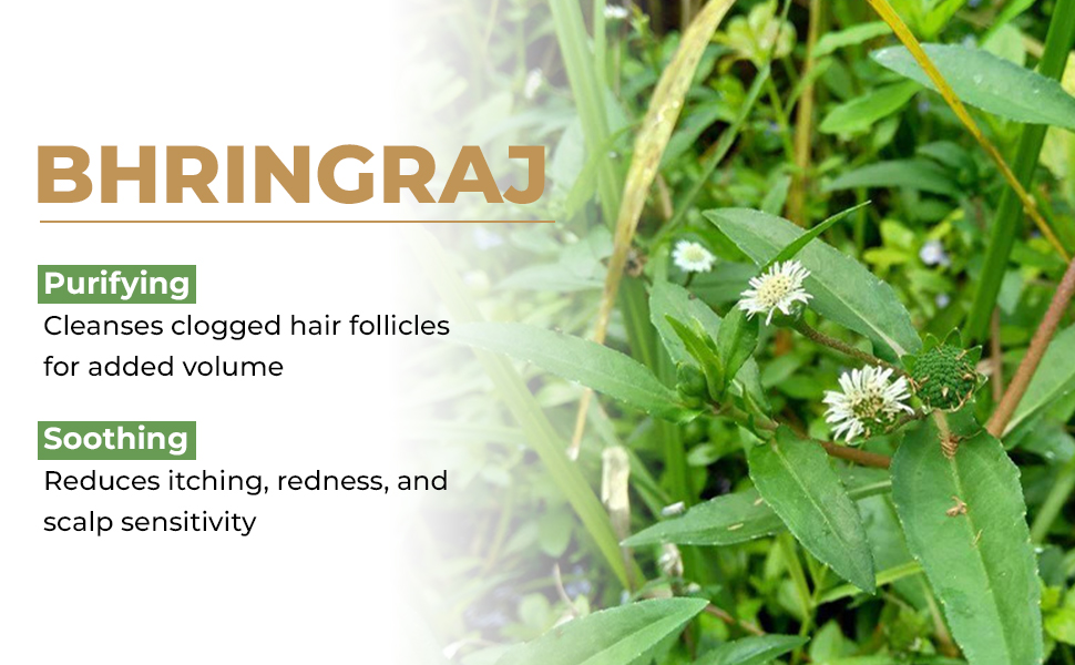 Bhringraj Shampoo & Conditioner Set – Nourishing Hair Care for Stronger, Healthier Hair