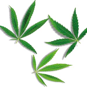 hemp seed and rice protein ingredients