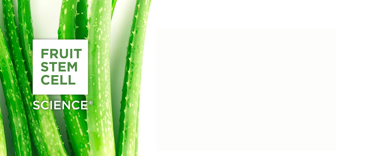 Argan Oil Benefits